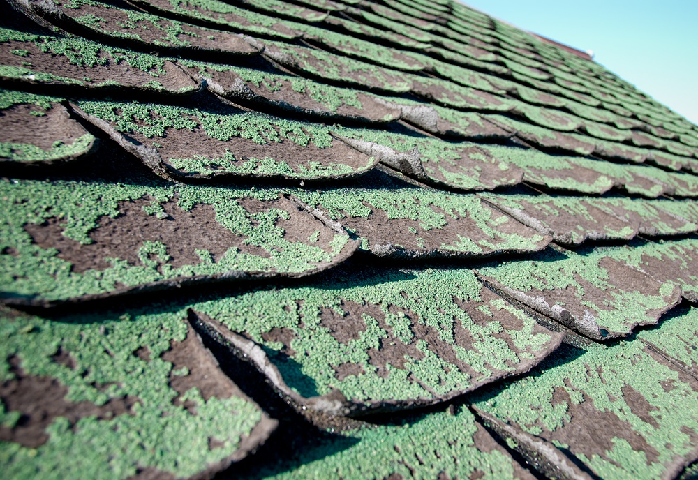 What to Do if the House You Want to Buy Has a Bad Roof?