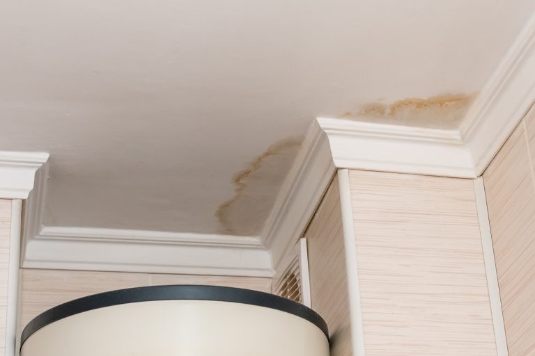 what-to-do-if-you-have-a-leaking-roof-forbes-home