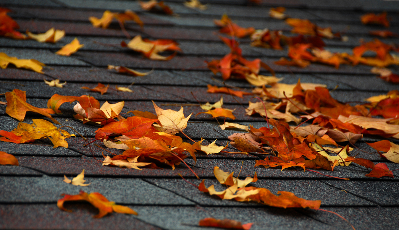 Fall Roofing Maintenance Checklist Landmark Exteriors