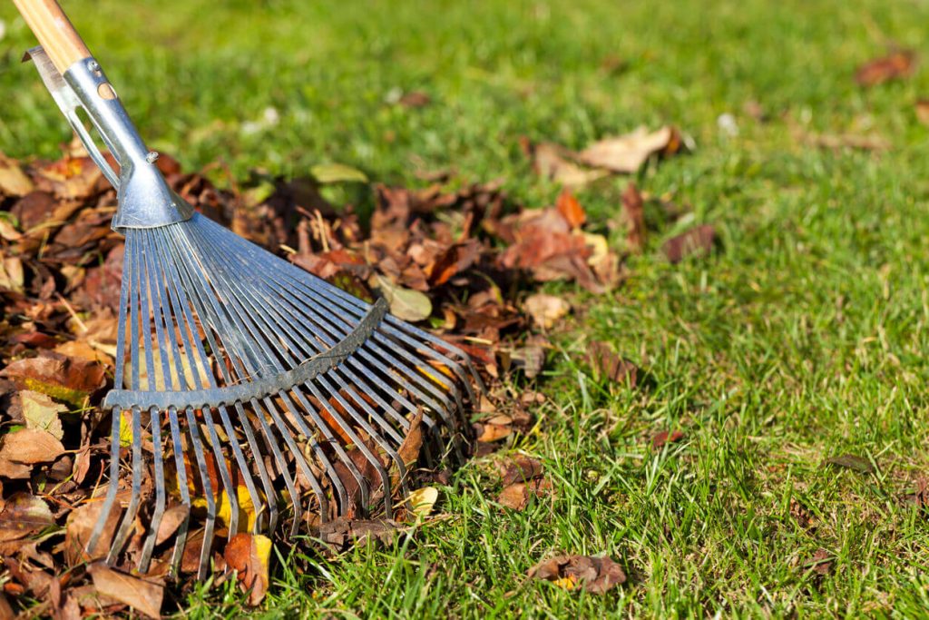 Tips to Help With Leaf Cleanup LANDMARK EXTERIORS