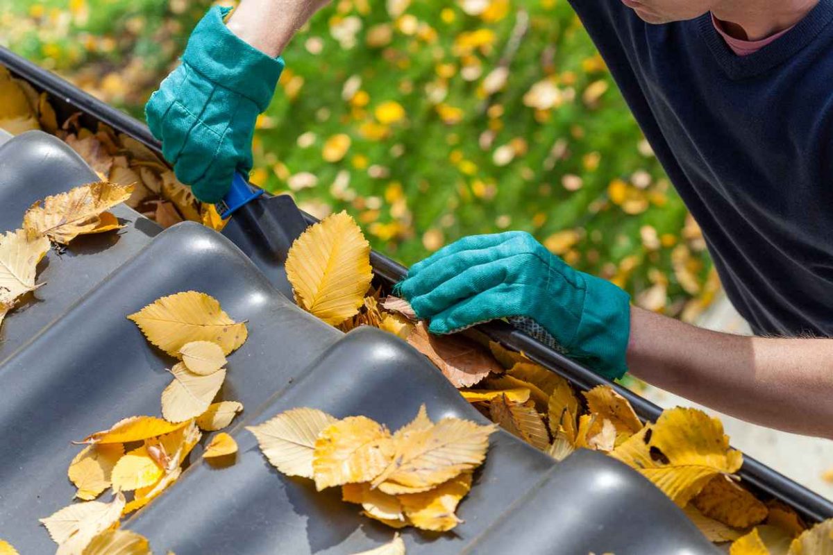 Fall Checklist: Is Your Roof Ready for the Changing Seasons?