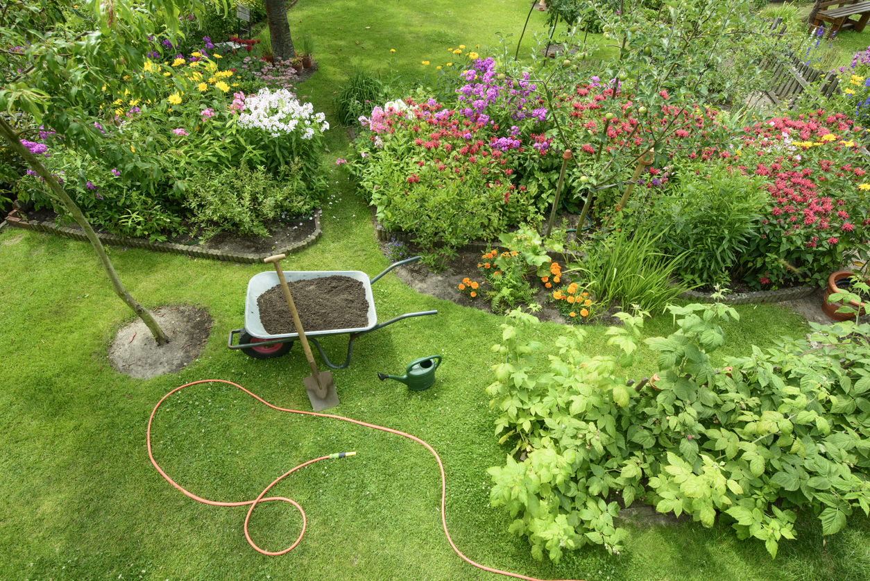 Garden - elevated view
