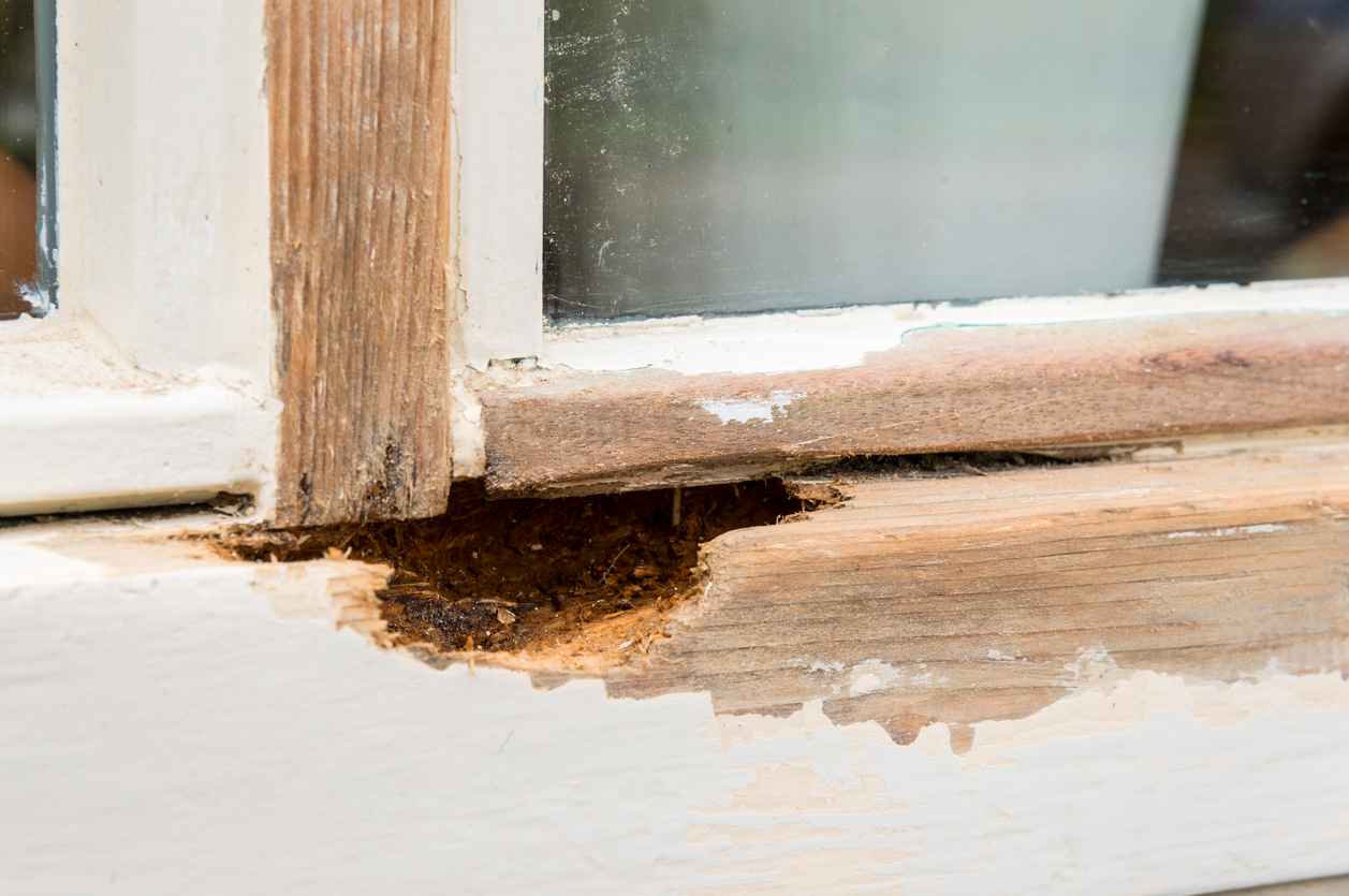 Window frame in need of replacement, with rotting wood and peeling paint