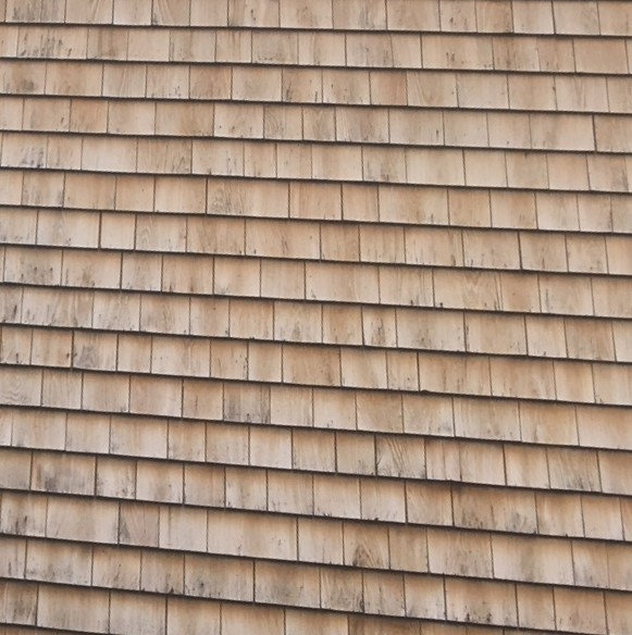 Cedar siding shingles